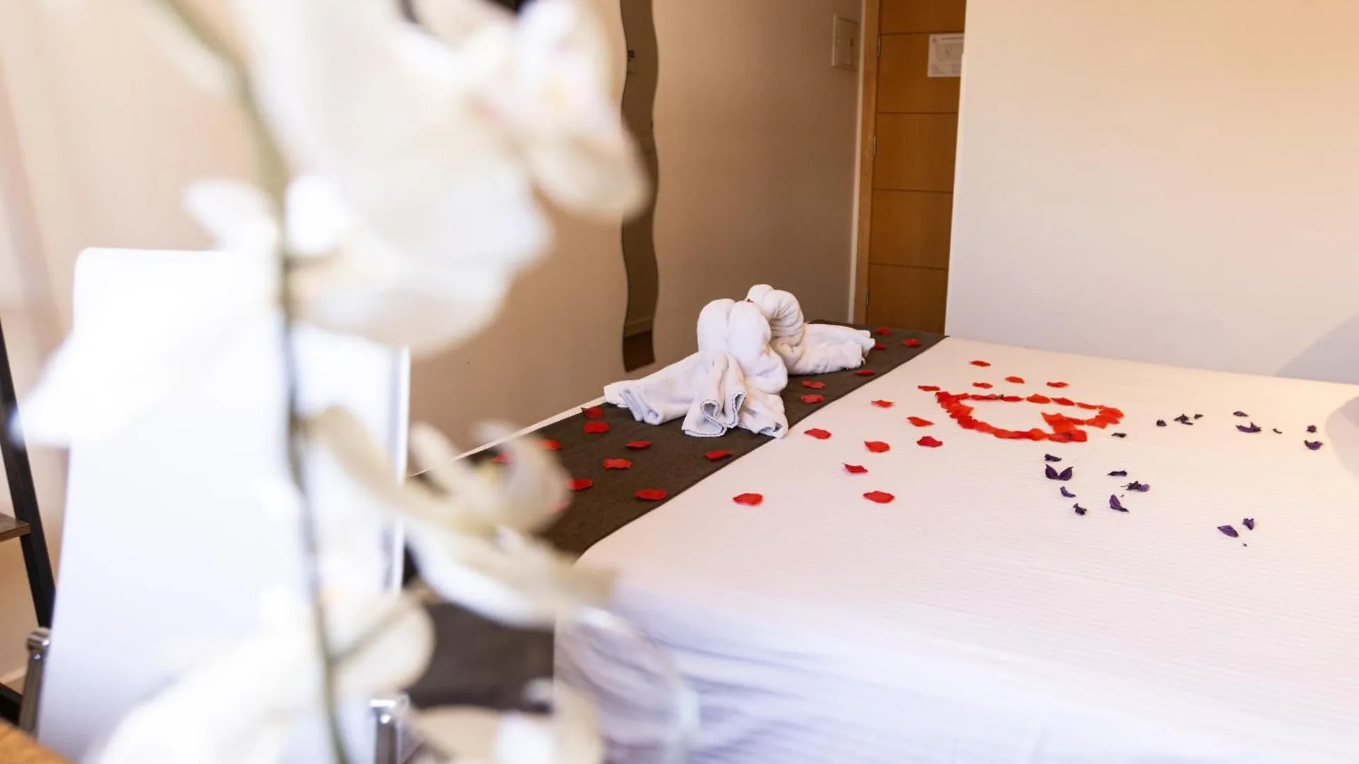 ** Hotel Gce Hoteles Malaga Spain